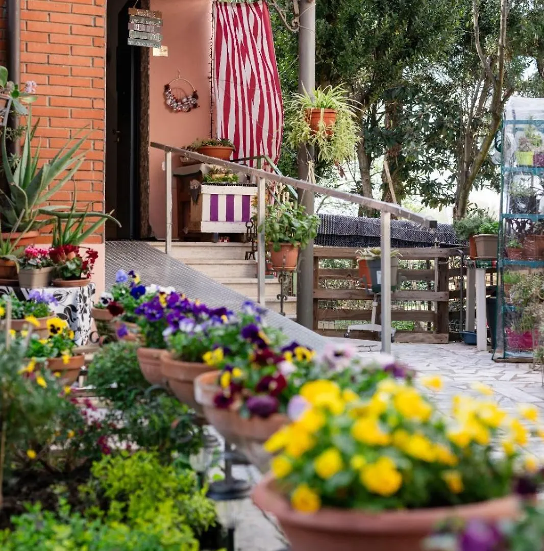 Alice Mercadini B&B Cesena Bed & Breakfast